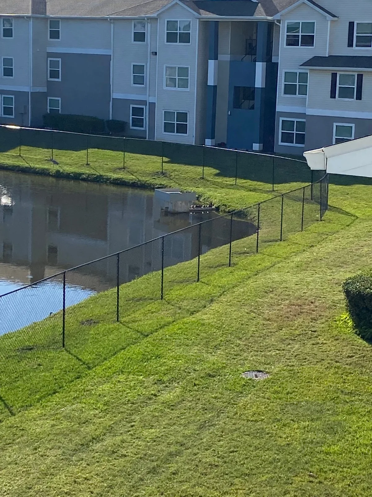Dark chain-link fence following a grassy slope beside a pond.